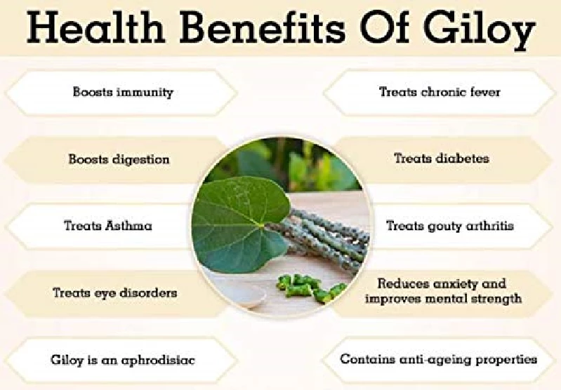 Dhootapapeshwar Guduchi Tablet, 60 Tablets-6.webp